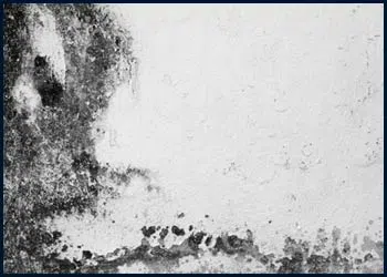 West Palm Beach Emergency Restoration West Palm Beach, FL 561-408-9703