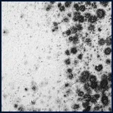 West Palm Beach Emergency Restoration West Palm Beach, FL 561-408-9703