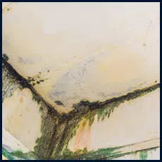 West Palm Beach Emergency Restoration West Palm Beach, FL 561-408-9703